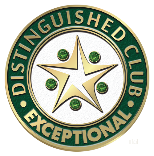 Custom Logo